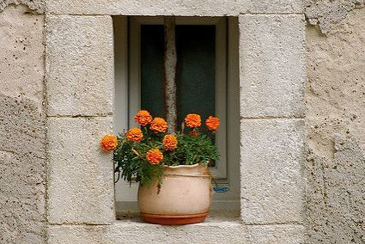 توضیحات تصویر