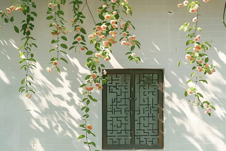 توضیحات تصویر