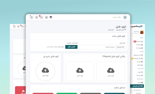 توضیحات تصویر