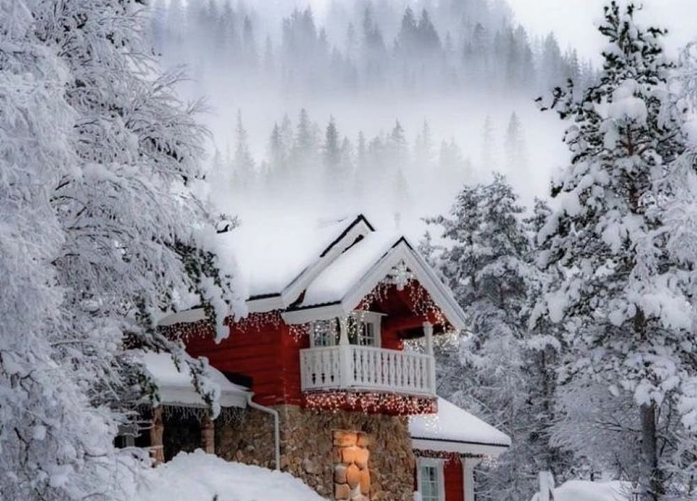 توضیحات تصویر