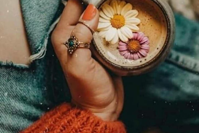 توضیحات تصویر